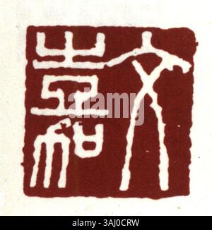 Ein chinesisches Siegel mit vereinfachtem Chinesisch, das zur Authentifizierung von Dokumenten und Kunstwerken verwendet wird. Oft aus Stein oder Jade geschnitzt, hat dieses Siegel kulturelle Bedeutung in der chinesischen Tradition. Stockfoto