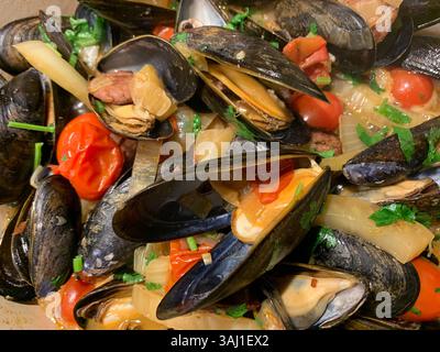Nahaufnahme von gedämpften Muscheln mit Schalotten, Fenchel, Tomaten und Petersilie. Stockfoto