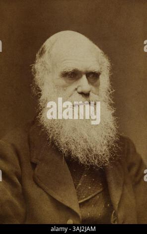 Ein Porträt von Charles Darwin, aufgenommen von Elliott & Fry zwischen 1862 und 1882, wahrscheinlich aus den 1860er Jahren Darwins Vollbart, den er in den frühen 1860er Jahren anfing, ist deutlich sichtbar und spiegelt seinen kultigen Look in dieser Zeit wider. Stockfoto