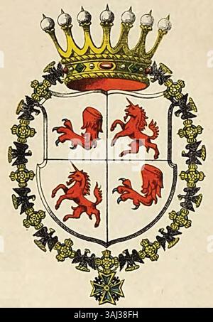 Dieses 1884 entstandene Wappen stellt Carl Friedrich Freiherr von dem Knesebeck dar, eine prominente Figur aus dem 18. Bis 19. Jahrhundert. Es symbolisiert seinen Adelsstand und das historische Erbe der Familie Knesebeck. Stockfoto