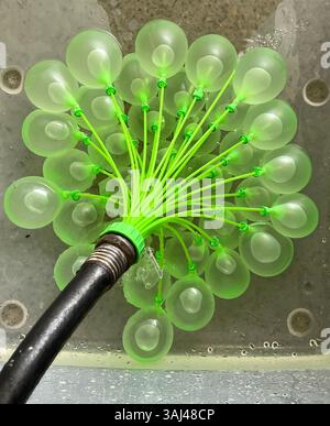 Leuchtend grüne Wasserballons, die aus einem Schlauch in einer Plastikwanne gefüllt werden, halten die Spannung des Sommerspiels und des Spaßspiels im Hinterhof in Aktion fest. Stockfoto