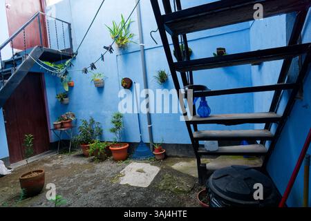 Ein Innenhof in einem Haus in Jinotega, Nicaragua, mit Pflanzen in Töpfen auf dem Boden und hängt an Baumfarntafeln an einer blauen Wand Stockfoto