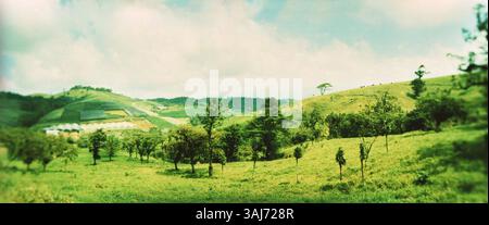 Landschaft der Region Arenal, Costa Rica Stockfoto