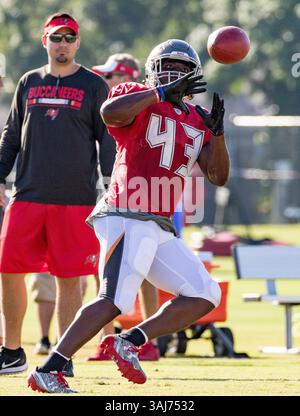 8. August 2017: Tampa Bay Buccaneers Running Back Peyton Barber (43) macht Übungen im Trainingscamp in Tampa, Florida, USA. Del Mecum/CSM(Kreditbild: &Copy; Del Mecum/CSM via ZUMA Wire) Stockfoto