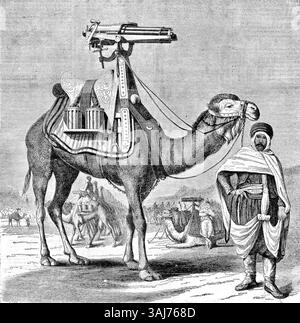 Diese Illustration aus dem Science Record, 1862, zeigt eine kamelmontierte Gatling Schnellfeuerwaffe, eine bedeutende Entwicklung in der Militärtechnologie während der 1860er Jahre Das Bild wurde später als Teil einer Serie über Innovationen in der Kriegsführung veröffentlicht. Stockfoto