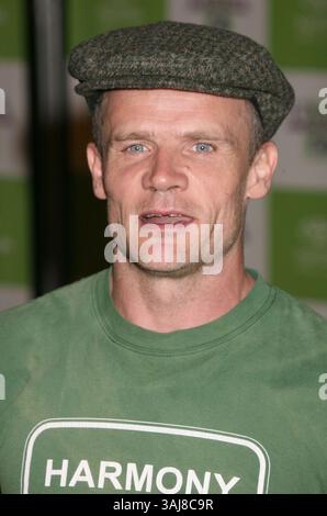November 2006 – Los Angeles, CA, USA – 08. November 2006 – Los Angeles, Kalifornien – Floh. 16. Annual Environmental Media Awards im Ebell Club of Los Angeles. Foto: Byron Purvis/AdMedia *** Lokale Bildunterschrift Stockfoto