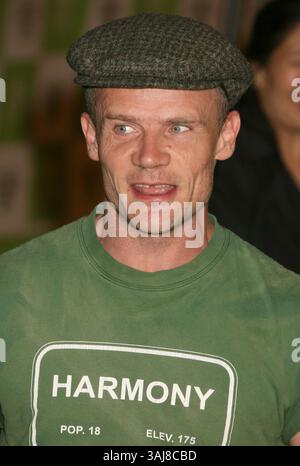 November 2006 – Los Angeles, CA, USA – 08. November 2006 – Los Angeles, Kalifornien – Floh. 16. Annual Environmental Media Awards im Ebell Club of Los Angeles. Foto: Byron Purvis/AdMedia *** Lokale Bildunterschrift Stockfoto