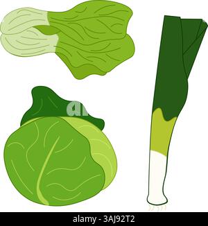 Kohl, Schalotten, Pak Choy, Vektor Gemüse isoliert Set. Flache Symbole. Sammlung von landwirtschaftlichen Produkten für Restaurantmenü, Marktetikett. Für Logo, Web, pac Stock Vektor