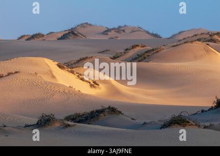 Sanddünen in der Namib-Wüste, Namibia, Kunene, Skeleton Coast National Park Stockfoto