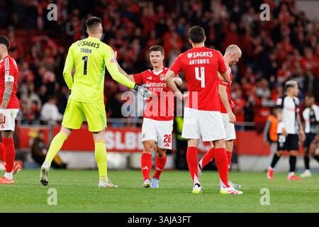 Spieler von Benfica, die beim Spiel der Liga Portugal zwischen den Teams SL Benfica und SC Farense (Maciej Rogowski) nach dem Tor feierten Stockfoto