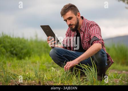 Farmer Plantation prüft Qualität durch Tablettenlandwirtschaft modernes Technologiekonzept. Intelligente Landwirtschaft unter Verwendung moderner Technologien in der Landwirtschaft. Mann Stockfoto