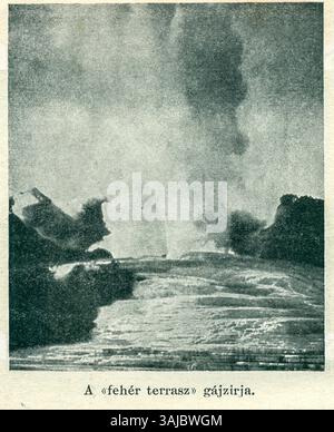 Eine Vintage-Fotografie von Andreas Reischek, die Neuseeland in den 1880er Jahren zeigt und Naturlandschaften und frühe Siedlungen in der Region darstellt. Stockfoto