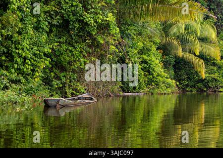 Boot strandete am Ufer des Sees Sandoval im dicken peruanischen Amazonas-Regenwald Stockfoto