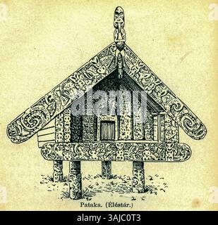 Eine Fotografie von Andreas Reischek, die Neuseeland in den 1880er Jahren zeigt Dieses historische Bild fängt das Wesen der neuseeländischen Landschaft während des späten 19. Jahrhunderts ein. Stockfoto