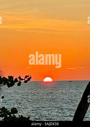 Leuchtend orange Sonnenuntergang, der in den ruhigen Ozean sinkt, eingerahmt von dunklen tropischen Blättern. Eine warme, friedliche Meereslandschaft, die das letzte Licht des Tages einfängt, perfekt Stockfoto