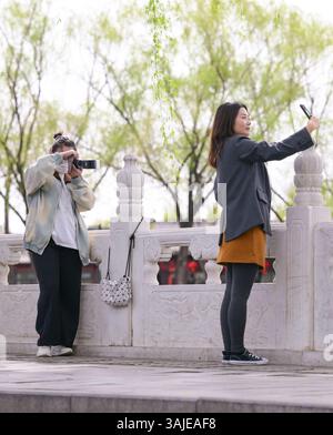 Peking, China. April 2025. Ein Fotograf (L) fotografiert am 8. April 2025 einen Touristen in der malerischen Gegend von Houhai in Peking, der Hauptstadt Chinas. Im Frühjahr 2025 begannen Fotografiebegeisterte mit ihren Smartphones und Kameras, Frühlingskulissen einzufangen, was ein unverwechselbares Phänomen im Frühling schuf. Das Engagement der Öffentlichkeit in der Fotografie hat in den letzten Jahren einen bemerkenswerten Zuwachs verzeichnet, der auf Fortschritte bei der Smartphone-Fotografie und die weitverbreitete Nutzung sozialer Medien zurückzuführen ist. Dieser „Fotografiewahn“ hat gleichzeitig den Tourismus und die Frühjahrswirtschaft angeregt. Quelle: Li He/Xinhua/Alamy Live News Stockfoto