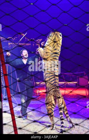 Martin Lacey Jr. mit einem Tiger in der Manege bei der Circus Krone „Farbenspiel - Gold Edition“ Premiere am 10.04.2025 in München Stockfoto