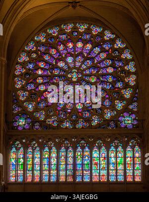 Frankreich, Paris, Ile de la Cite, Kathedrale Notre Dame, südliches Rosenfenster an der Kreuzung Stockfoto