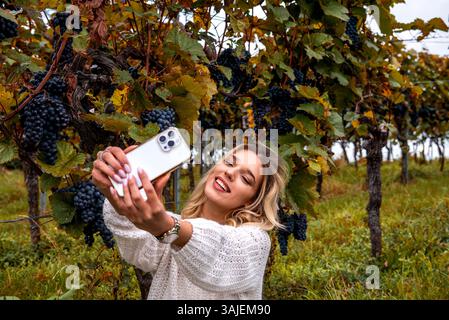 Lächelnde junge Frau, die Selfies in einem Weinberg macht, umgeben von einem Haufen köstlicher reifer Trauben, in Stuttgart, Deutschland Stockfoto