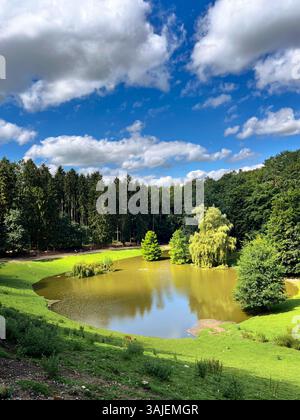 Ruhiger Blick auf einen See mit grüner Graswiese und Bäumen, blauer Himmel mit Wolken Stockfoto