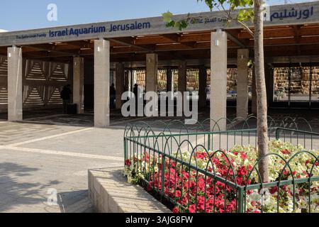 5. Juli 2017 - Jerusalem, Israel - die Vorbereitungen für die öffentliche Eröffnung des Gottesman Family Israel Aquarium Jerusalem sind in Vorbereitung. Das 100.000.000 ILS, 6.500 Quadratmeter große Aquarium, das erste seiner Art im Nahen Osten, mit mehr als 30 Tanks unterschiedlicher Größe, zeigt die vielfältige Meeresumgebung von Israelâ und wird voraussichtlich zu einer wichtigen Touristenattraktion in Jerusalem werden. (Bild: © Nir Alon via ZUMA Wire) Stockfoto