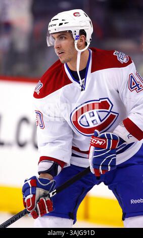 Februar 2009 - Calgary, Alberta, Kanada - Foto des NHL-Spielerprofils auf Maxim Lapierre von Montreal Canadiens während eines Hockeyspiels in Calgary. (Foto: © Larry MacDougal via ZUMA Wire) Stockfoto
