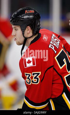 28. Dezember 2009 - Calgary, Alberta, Kanada - Foto des NHL-Spielerprofils auf Brandon Prust von Calgary Flames während eines Spiels in Calgary. (Foto: © Larry MacDougal via ZUMA Wire) Stockfoto