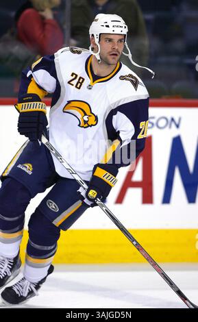 31. Januar 2009 – Calgary, Alberta, Kanada – Foto des NHL-Spielerprofils auf Paul Gaustad von Buffalo Sabres während eines Hockeyspiels in Calgary. (Foto: © Larry MacDougal via ZUMA Wire) Stockfoto