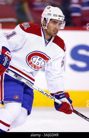 Februar 2009 - Calgary, Alberta, Kanada - Foto des NHL-Spielerprofils auf Francis Bouillon von Montreal Canadiens während eines Hockeyspiels in Calgary. (Foto: © Larry MacDougal via ZUMA Wire) Stockfoto