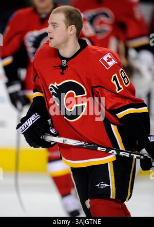 Januar 2011 - Calgary, Alberta, Kanada - Foto des NHL-Spielerprofils auf Matt Stajan von Calgary Flames während eines Spiels in Calgary. (Foto: © Larry MacDougal via ZUMA Wire) Stockfoto