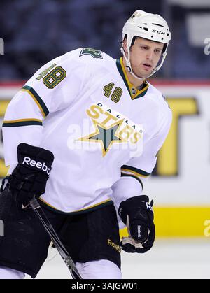 Januar 2011 - Calgary, Alberta, Kanada - Jan. Foto des NHL-Spielers auf Francis Wathier der Dallas Stars während eines Spiels in Calgary. (Foto: © Larry MacDougal via ZUMA Wire) Stockfoto
