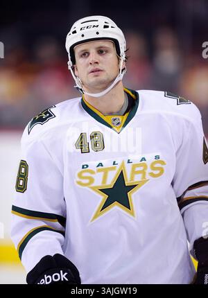 Januar 2011 - Calgary, Alberta, Kanada - Jan. Foto des NHL-Spielers auf Francis Wathier der Dallas Stars während eines Spiels in Calgary. (Foto: © Larry MacDougal via ZUMA Wire) Stockfoto
