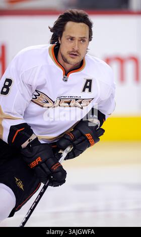 11. Februar 2011 - Calgary, Alberta, Kanada - Foto des NHL-Spielerprofils auf Anaheim Ducks' Teemu Selanne aus Finnland während eines Spiels in Calgary. (Foto: © Larry MacDougal via ZUMA Wire) Stockfoto