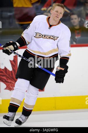 Februar 2011 - Calgary, Alberta, Kanada - Foto des NHL-Spielerprofils von Anaheim Ducks' Corey Perry während eines Spiels in Calgary. (Foto: © Larry MacDougal via ZUMA Wire) Stockfoto