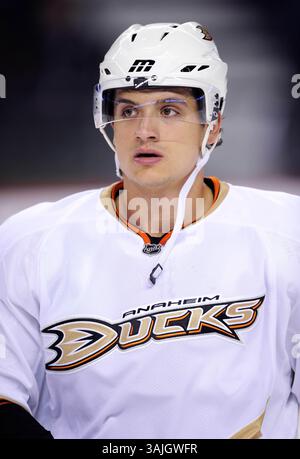 11. Februar 2011 - Calgary, Alberta, Kanada - Foto des NHL-Spielerprofils von Anaheim Ducks' Luca Sbisa aus Italien während eines Spiels in Calgary. (Foto: © Larry MacDougal via ZUMA Wire) Stockfoto
