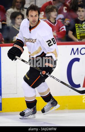 Februar 2011 - Calgary, Alberta, Kanada - Foto des NHL-Spielerprofils auf Anaheim Ducks' Kyle Chipchura während eines Spiels in Calgary. (Foto: © Larry MacDougal via ZUMA Wire) Stockfoto