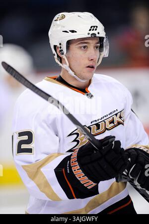 Februar 2011 - Calgary, Alberta, Kanada - Foto des NHL-Spielerprofils auf Dan Sexton von Anaheim Ducks während eines Spiels in Calgary. (Foto: © Larry MacDougal via ZUMA Wire) Stockfoto