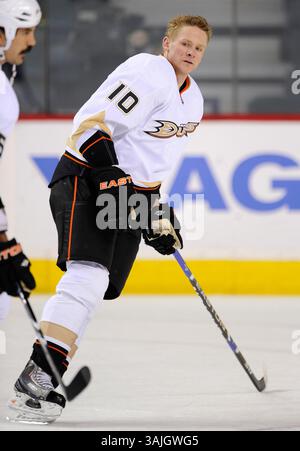 Februar 2011 - Calgary, Alberta, Kanada - Foto des NHL-Spielerprofils von Anaheim Ducks' Corey Perry während eines Spiels in Calgary. (Foto: © Larry MacDougal via ZUMA Wire) Stockfoto