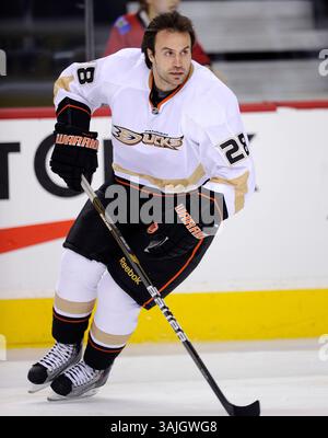 Februar 2011 - Calgary, Alberta, Kanada - Foto des NHL-Spielerprofils auf Anaheim Ducks' Kyle Chipchura während eines Spiels in Calgary. (Foto: © Larry MacDougal via ZUMA Wire) Stockfoto