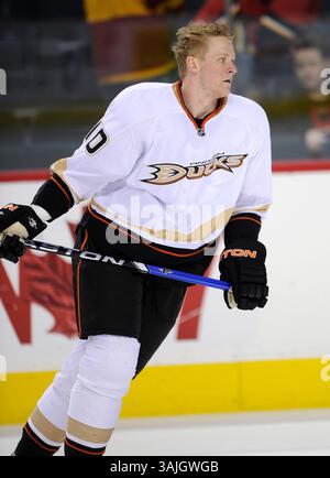 Februar 2011 - Calgary, Alberta, Kanada - Foto des NHL-Spielerprofils von Anaheim Ducks' Corey Perry während eines Spiels in Calgary. (Foto: © Larry MacDougal via ZUMA Wire) Stockfoto