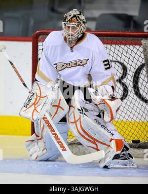 Februar 2011 - Calgary, Alberta, Kanada - Foto des NHL-Spielerprofils von Curtis McElhinney von Anaheim Ducks während eines Spiels in Calgary. (Foto: © Larry MacDougal via ZUMA Wire) Stockfoto
