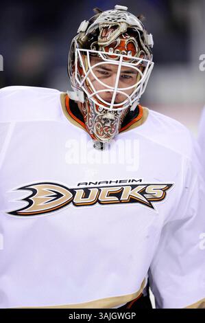 Februar 2011 - Calgary, Alberta, Kanada - Foto des NHL-Spielerprofils von Curtis McElhinney von Anaheim Ducks während eines Spiels in Calgary. (Foto: © Larry MacDougal via ZUMA Wire) Stockfoto