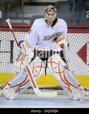Februar 2011 - Calgary, Alberta, Kanada - Foto des NHL-Spielerprofils von Curtis McElhinney von Anaheim Ducks während eines Spiels in Calgary. (Foto: © Larry MacDougal via ZUMA Wire) Stockfoto