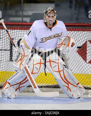 Februar 2011 - Calgary, Alberta, Kanada - Foto des NHL-Spielerprofils von Curtis McElhinney von Anaheim Ducks während eines Spiels in Calgary. (Foto: © Larry MacDougal via ZUMA Wire) Stockfoto