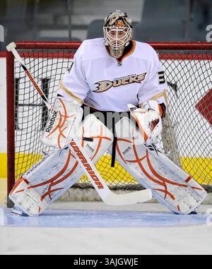 Februar 2011 - Calgary, Alberta, Kanada - Foto des NHL-Spielerprofils von Curtis McElhinney von Anaheim Ducks während eines Spiels in Calgary. (Foto: © Larry MacDougal via ZUMA Wire) Stockfoto