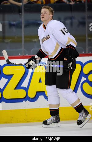 Februar 2011 - Calgary, Alberta, Kanada - Foto des NHL-Spielerprofils von Anaheim Ducks' Corey Perry während eines Spiels in Calgary. (Foto: © Larry MacDougal via ZUMA Wire) Stockfoto