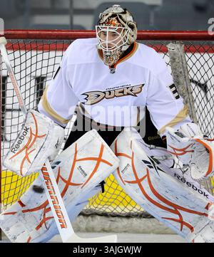 Februar 2011 - Calgary, Alberta, Kanada - Foto des NHL-Spielerprofils von Curtis McElhinney von Anaheim Ducks während eines Spiels in Calgary. (Foto: © Larry MacDougal via ZUMA Wire) Stockfoto