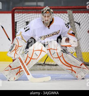 Februar 2011 - Calgary, Alberta, Kanada - Foto des NHL-Spielerprofils von Curtis McElhinney von Anaheim Ducks während eines Spiels in Calgary. (Foto: © Larry MacDougal via ZUMA Wire) Stockfoto