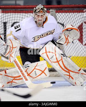 Februar 2011 - Calgary, Alberta, Kanada - Foto des NHL-Spielerprofils von Curtis McElhinney von Anaheim Ducks während eines Spiels in Calgary. (Foto: © Larry MacDougal via ZUMA Wire) Stockfoto