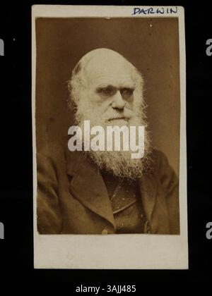 Dieses Foto von Charles Darwin wurde wahrscheinlich in den 1860er Jahren vom Studio von Elliott & Fry aufgenommen Das Bild spiegelt Darwins charakteristischen Bart wider, den er Anfang der 1860er Jahre zu wachsen begann und bis zu seinem Tod 1882 blieb. Ein ähnliches Porträt existiert aus dem Jahr 1874, was den Zeitrahmen weiter einschränkt. Das Porträt befindet sich im Victoria and Albert Museum. Stockfoto